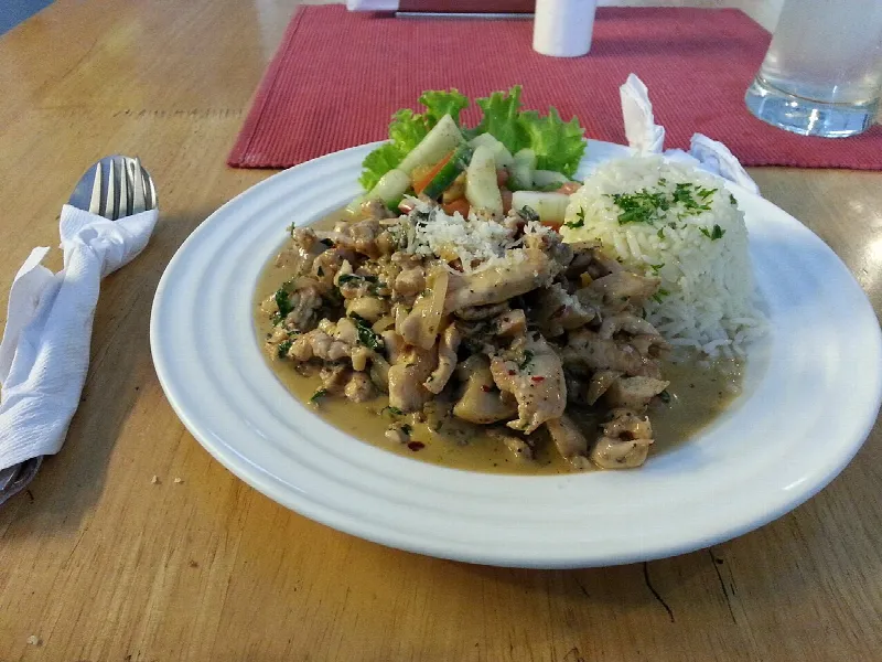 Бефстроганов из курицы